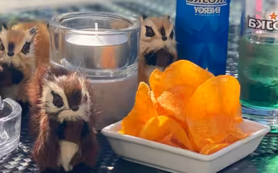 Juhuii endlich geht es wieder weiter!